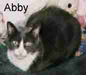 Abby