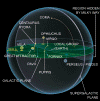 Local Galaxy Groups Map