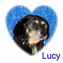 Lucy