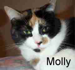 Molly